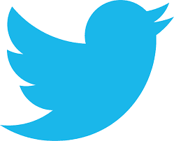 TWITTER; THE GROWING DEVs PLATFORM
